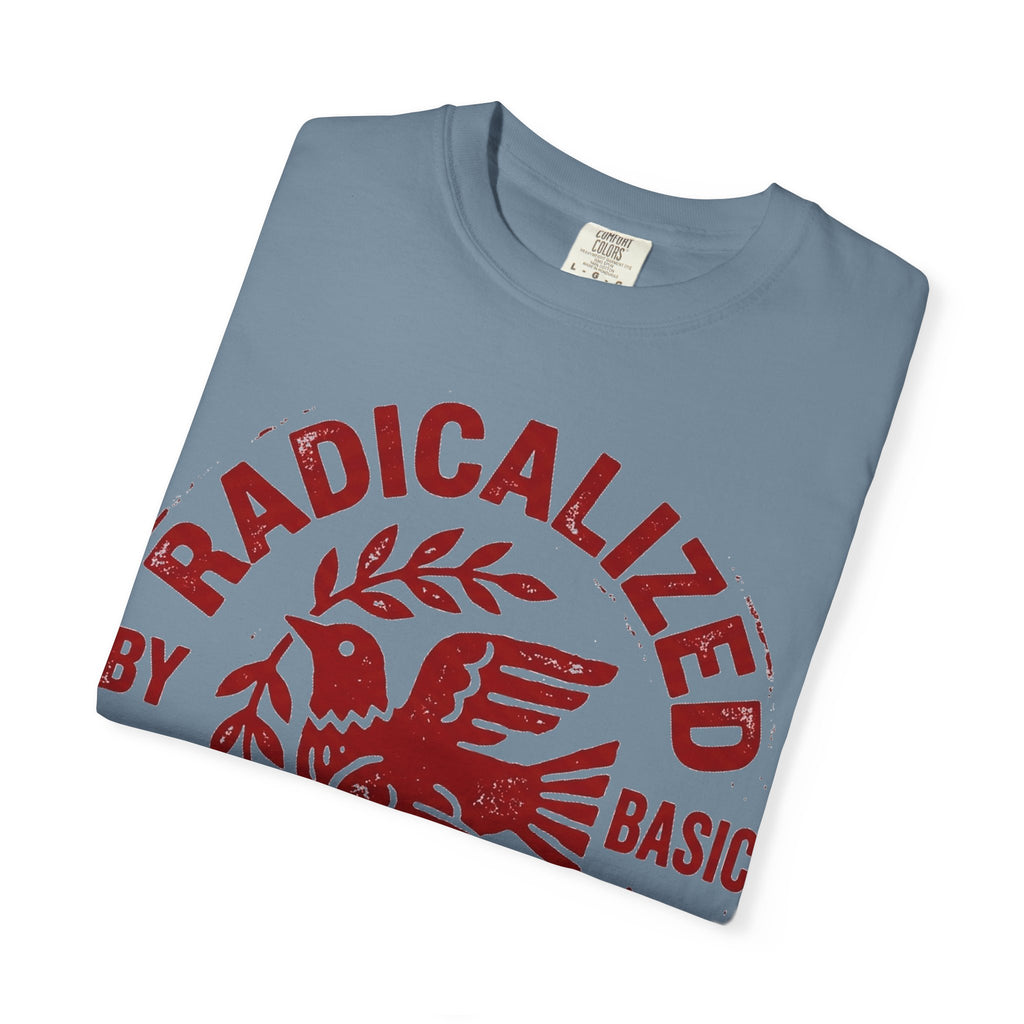 Radicalized By Basic Decency Shirt, Folk Art Dove Stamp Tee, Kindness Activist Shirt, Protest Gift