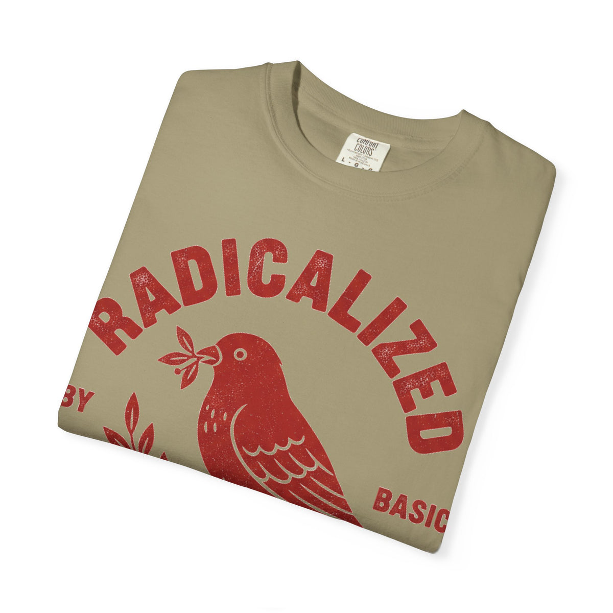 Radicalized By Basic Decency Arched Shirt, Red Folk Bird Tee, Kindness Statement Shirt, Activist Gift
