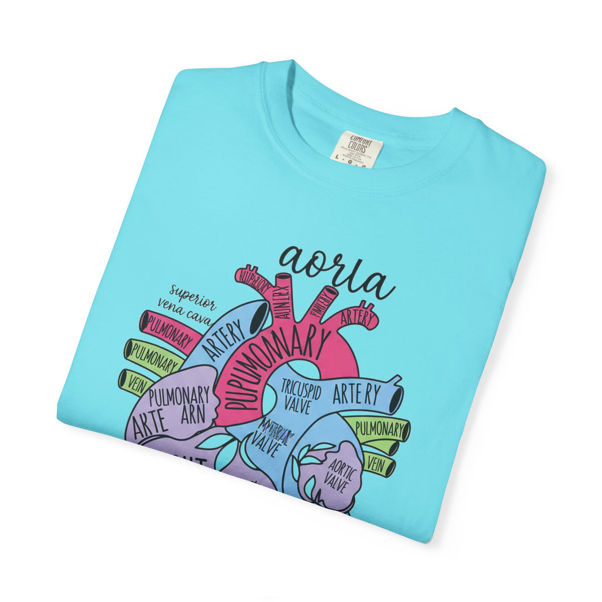 Labelled Heart Anatomy Shirt, Pastel Cardiac Diagram Tee, Nursing School Shirt, Cardiology Gift