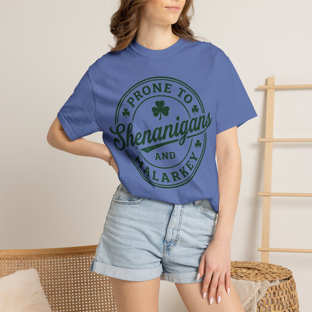 Prone To Shenanigans And Malarkey Shirt, St Patricks Day Badge Tee, Funny Irish Shirt, Paddys Day Gift
