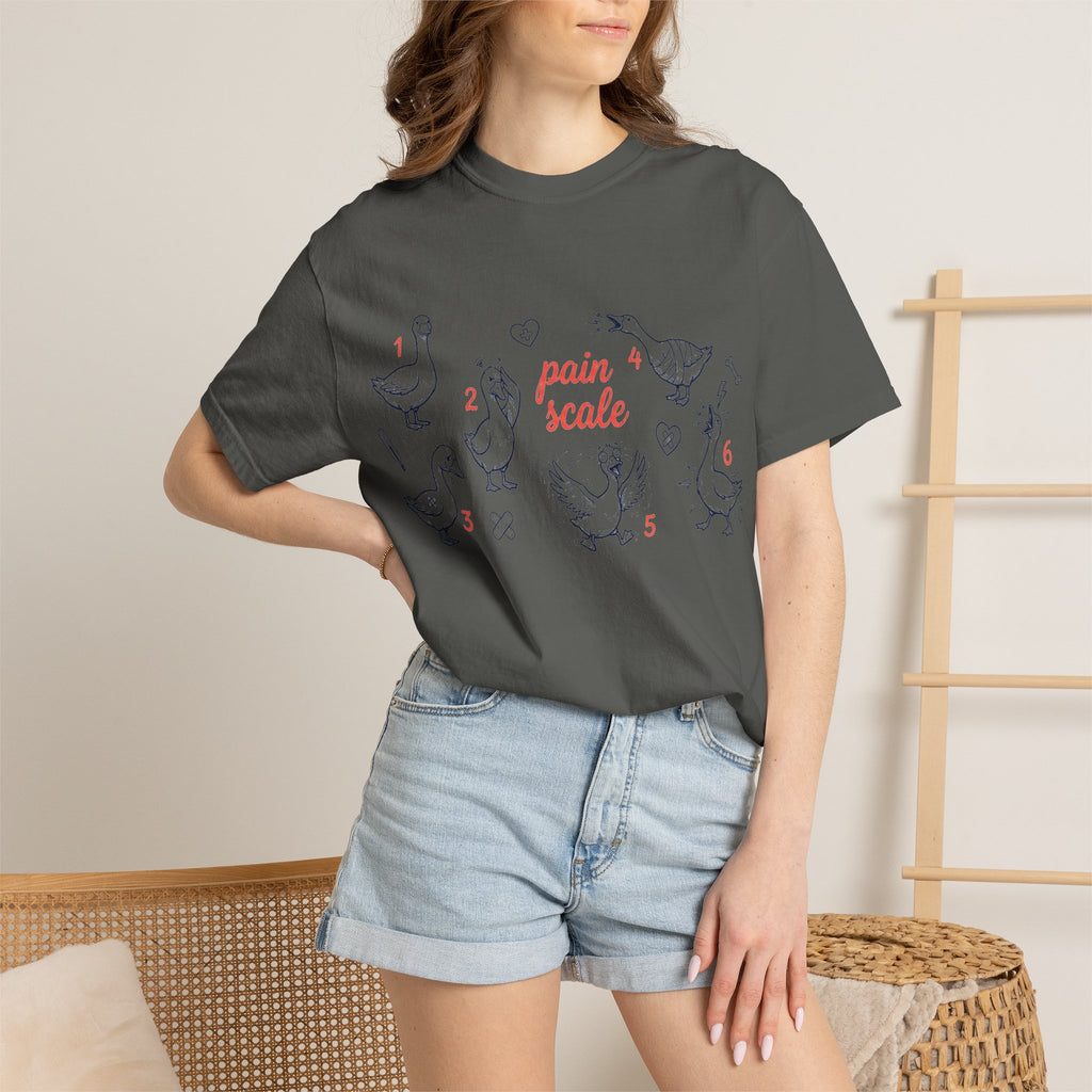 Goose Pain Scale Shirt, Funny Nurse Pain Chart Tee, 1 to 10 Goose Shirt, RN Gift