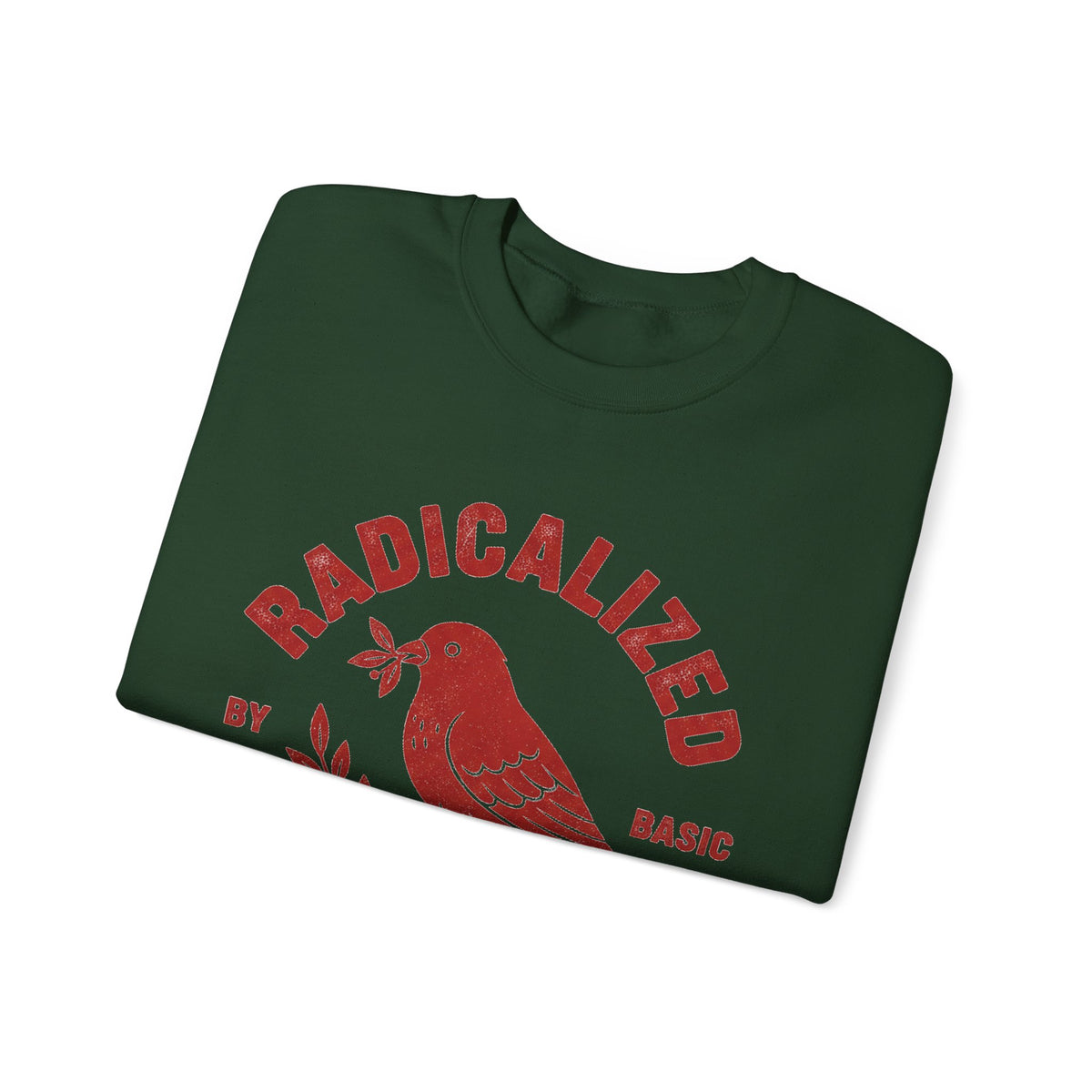 Radicalized By Basic Decency Sweatshirt, Vintage Bird Badge Political Sweatshirt, Progressive Kindness Sweatshirt, Liberal Gift, Retro Activ