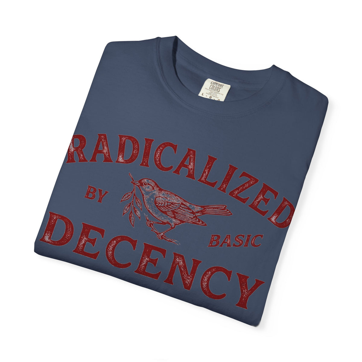 Radicalized By Basic Decency Bold Shirt, Engraved Bird Typography Tee, Kindness Statement Shirt, Protest Gift