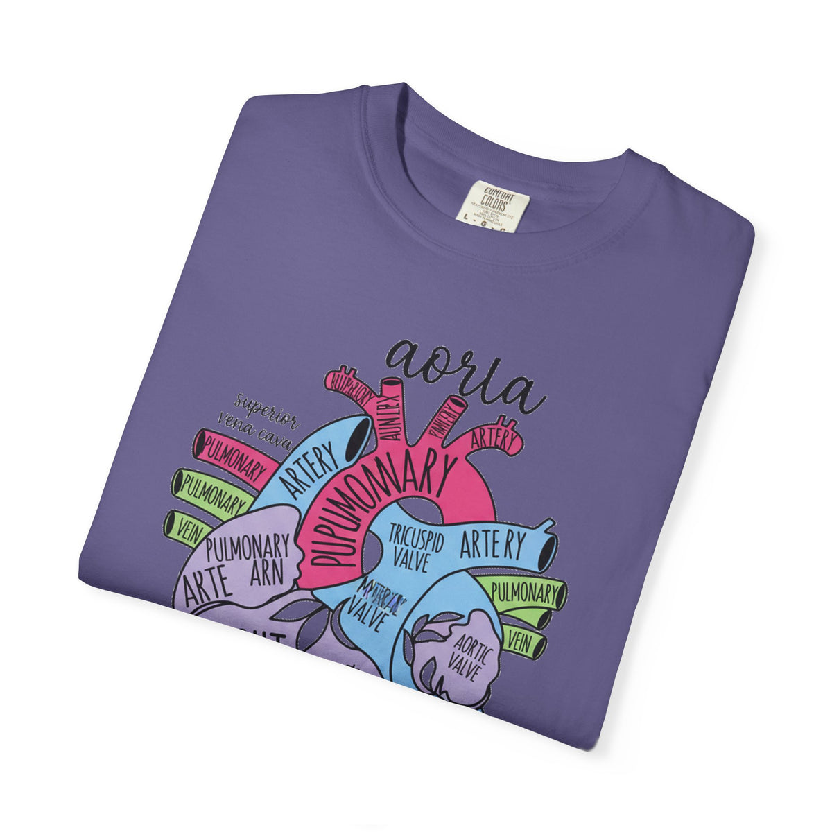 Labelled Heart Anatomy Shirt, Pastel Cardiac Diagram Tee, Nursing School Shirt, Cardiology Gift