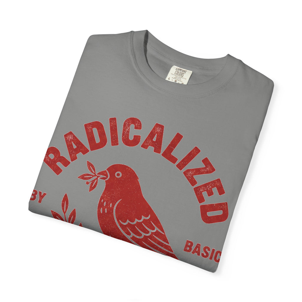 Radicalized By Basic Decency Arched Shirt, Red Folk Bird Tee, Kindness Statement Shirt, Activist Gift