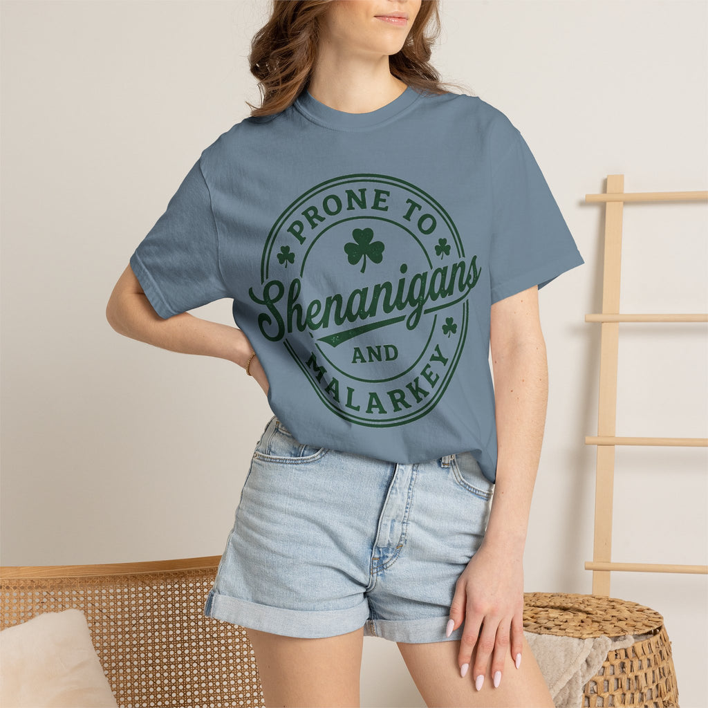 Prone To Shenanigans And Malarkey Shirt, St Patricks Day Badge Tee, Funny Irish Shirt, Paddys Day Gift