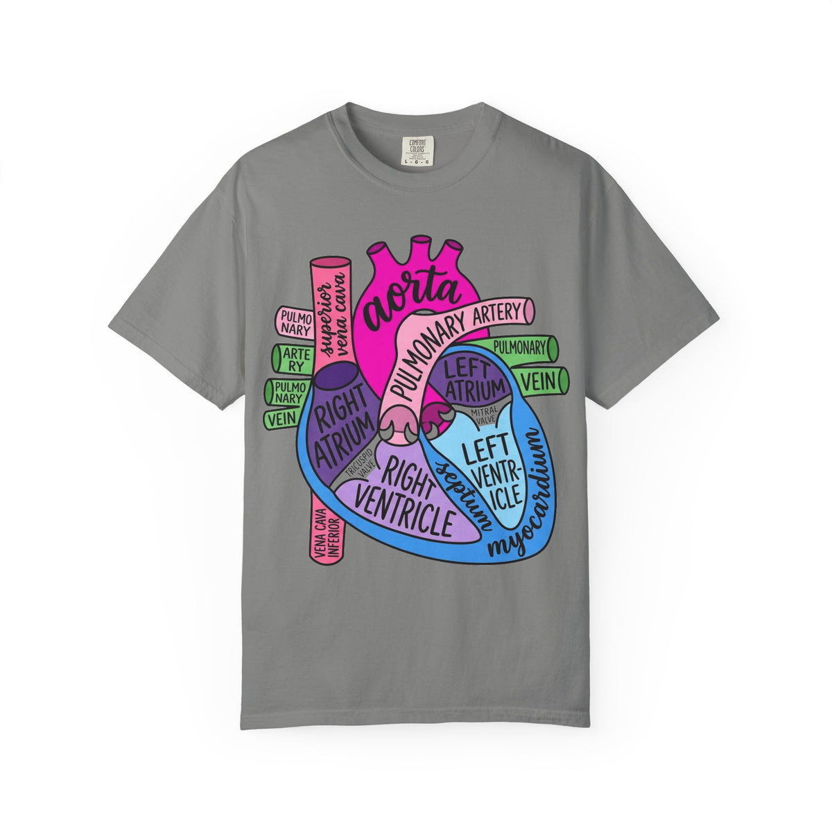 Anatomical Heart Diagram Shirt, Labelled Cardiac Anatomy Tee, Cardiology Nurse Shirt, Med Student Gift