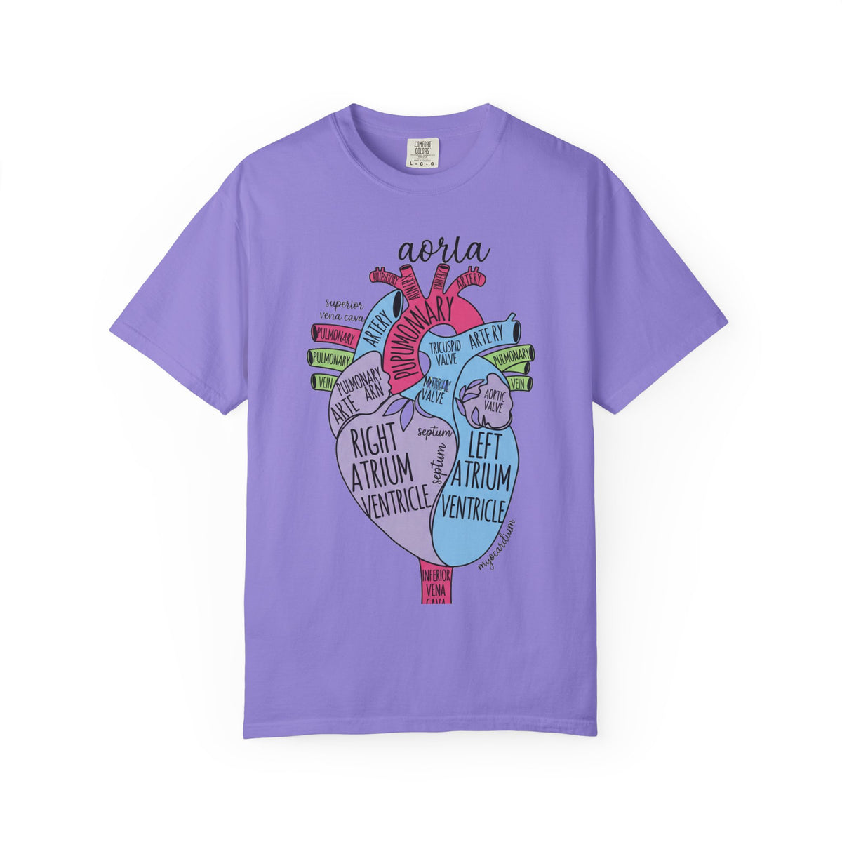 Labelled Heart Anatomy Shirt, Pastel Cardiac Diagram Tee, Nursing School Shirt, Cardiology Gift