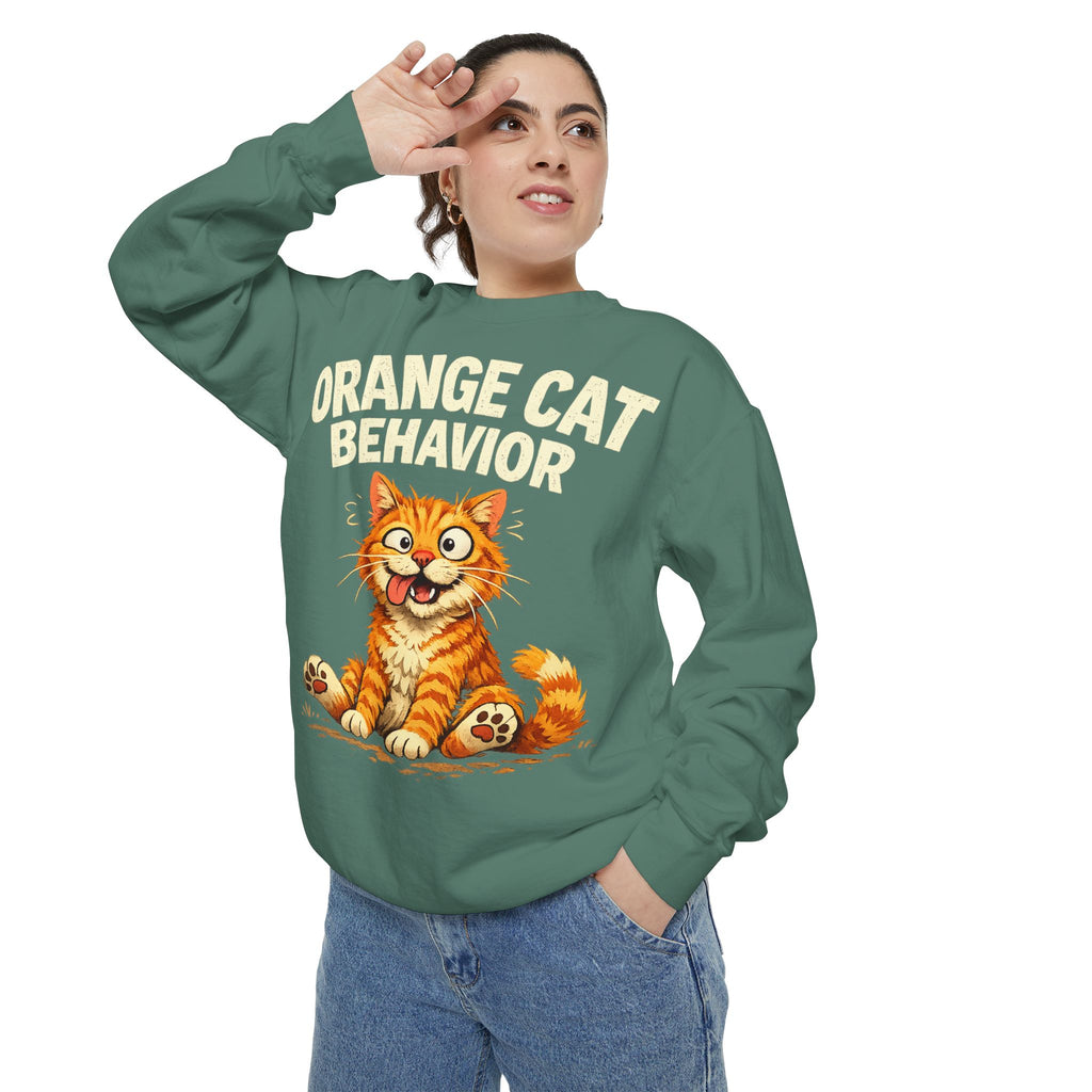 Orange Cat Behavior Sweatshirt — Cute Ginger Kitty Graphic Pullover