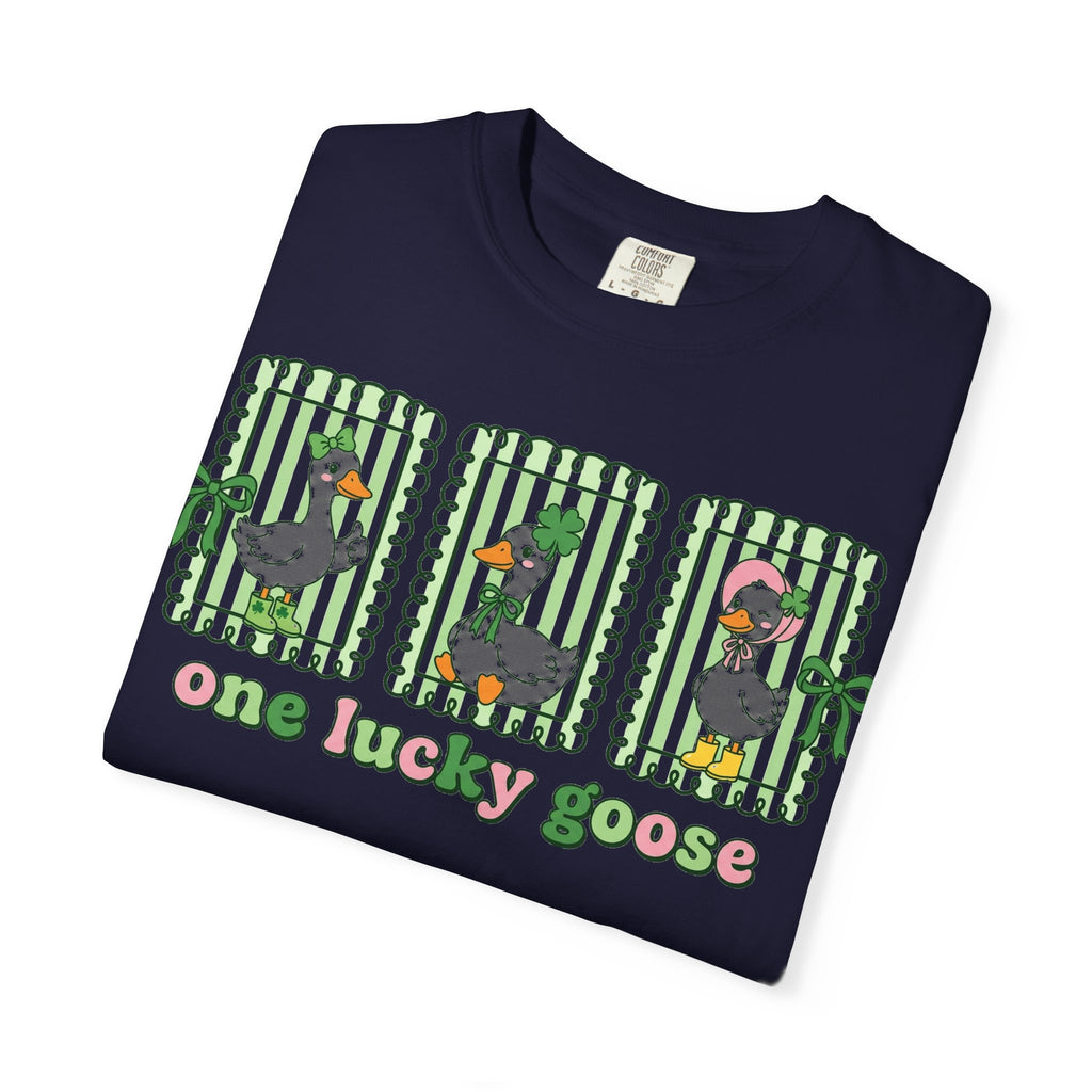 One Lucky Goose Framed Panels Shirt, Irish Goose Trio Tee, St Patricks Day Shirt, Funny Gift