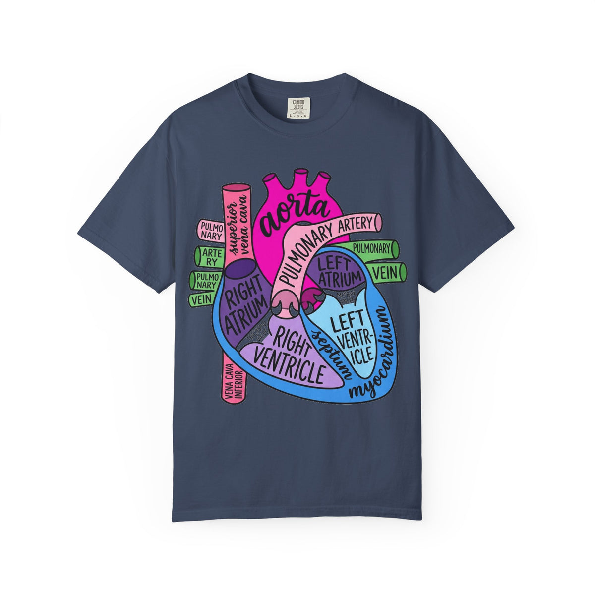 Anatomical Heart Diagram Shirt, Labelled Cardiac Anatomy Tee, Cardiology Nurse Shirt, Med Student Gift