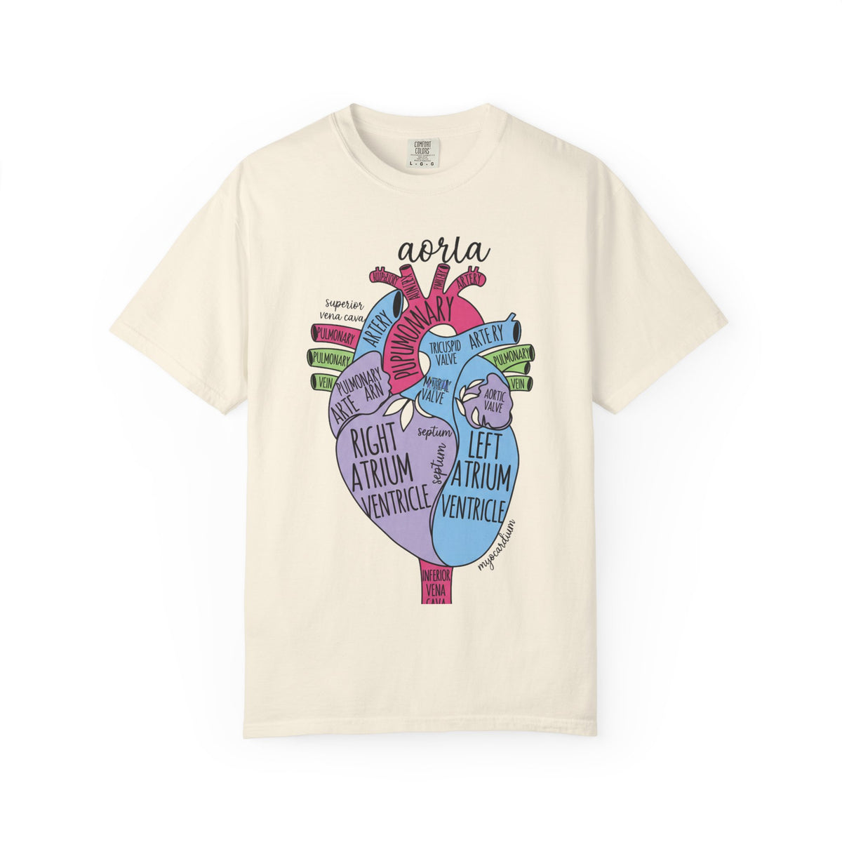 Labelled Heart Anatomy Shirt, Pastel Cardiac Diagram Tee, Nursing School Shirt, Cardiology Gift