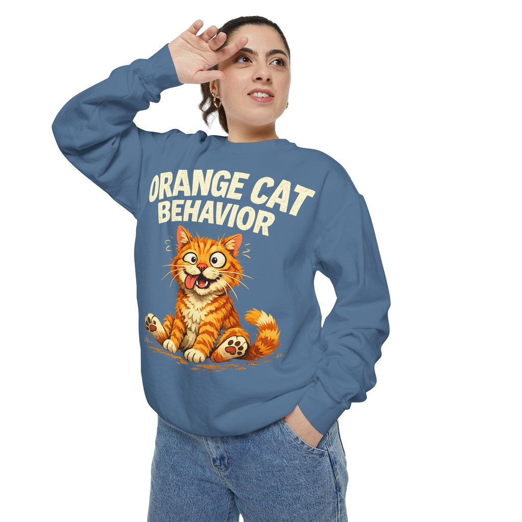 Orange Cat Behavior Sweatshirt — Cute Ginger Kitty Graphic Pullover