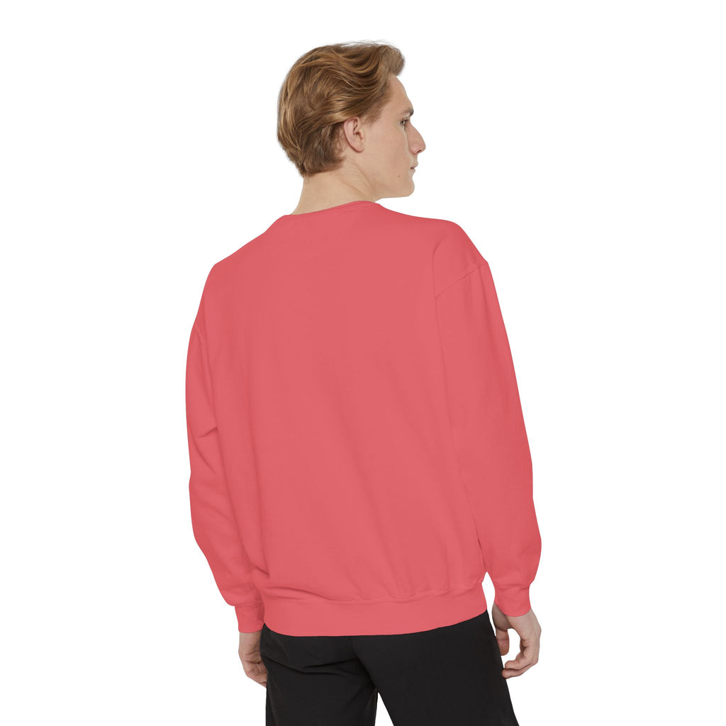 Sorry I Can't My Cat Said No Sweatshirt — Funny Cat Lover Pullover