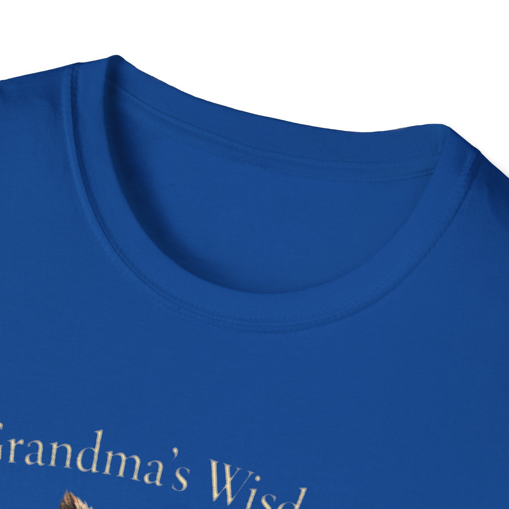 Grandma's Wisdom Priceless Shirt, Wise Owl Grandmother Tee, Nana Gift