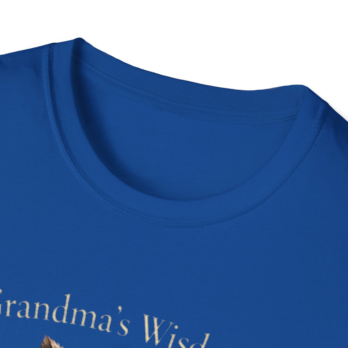 Grandma's Wisdom Priceless Shirt, Wise Owl Grandmother Tee, Nana Gift