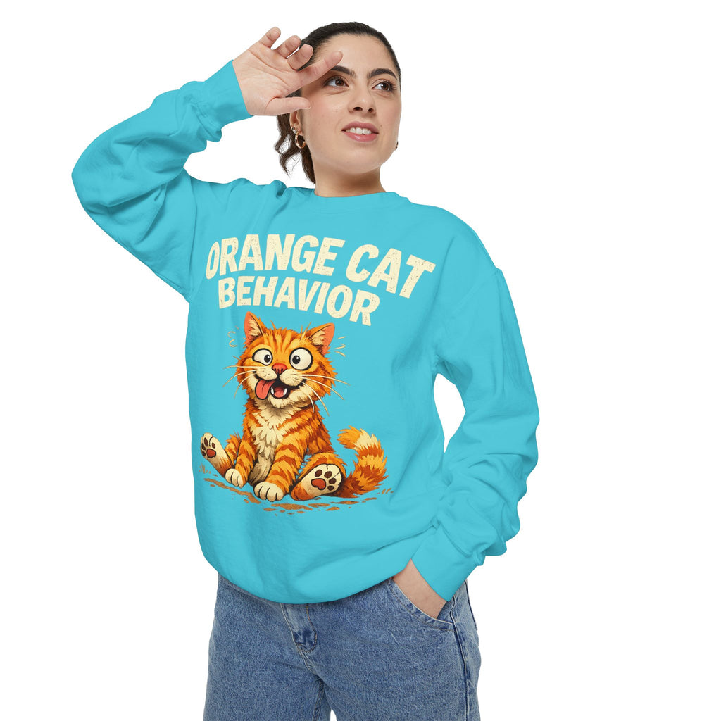 Orange Cat Behavior Sweatshirt — Cute Ginger Kitty Graphic Pullover