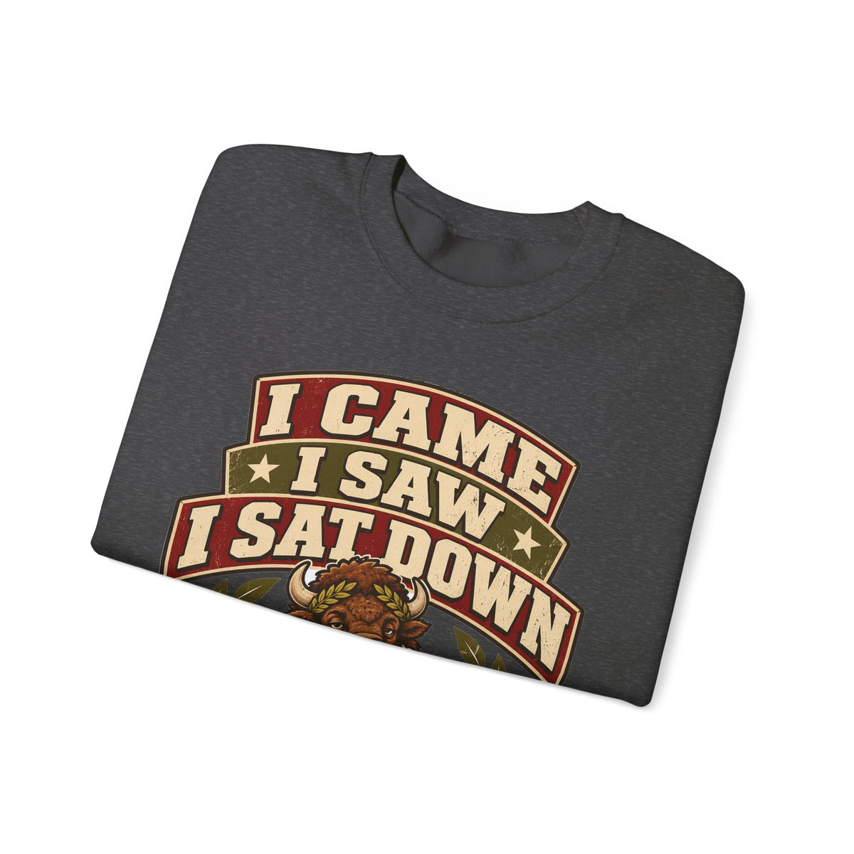 Funny Gym Sweatshirt I Came I Saw I Sat Down Bison Sweatshirt, Gym Gift For Men Women, Weightlifting Humor Sweatshirt